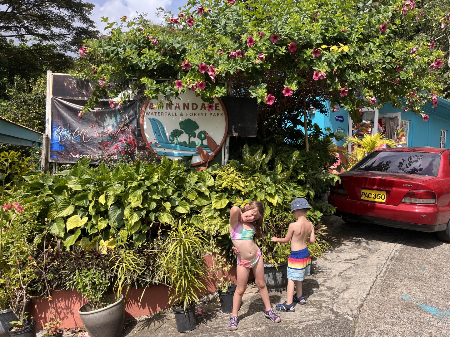 Annandale Falls travel moment 1